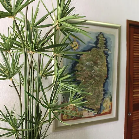 Hotel Fesch&spa Ajaccio (Corsica)