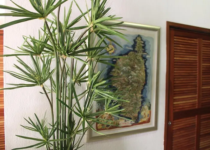 Hotel Fesch & Ajaccio (Corsica)